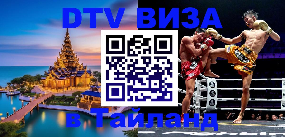 Оформление DTV визы под ключ: стоимость и тарифы, только загранпаспорт - Дзержинск 